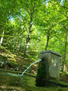 la via dell'acqua