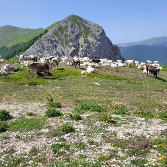 eremo di san nicola di coccia e guado di coccia con maiella escursioni trekking in abruzzo
