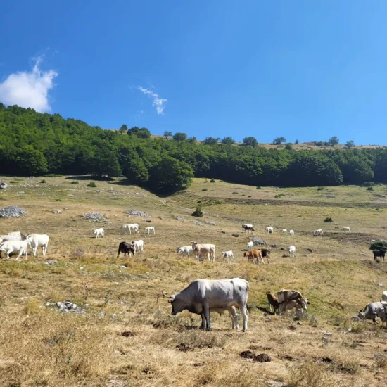 eremo di san nicola di coccia e guado di coccia con maiella escursioni trekking in abruzzo