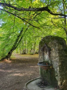 Bosco di Sant'Antonio a Pescocostanzo con Maiella Escursioni