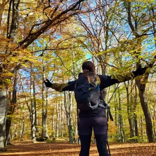 Foliage Bosco di Sant 'Antonio a Pescocostanzo -Escursioni in Autunno Abruzzo