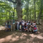 Bosco di Sant'Antonio di Pescocostanzo - escursione guidata di gruppo con maiella escursioni Guida Samuele Santilli