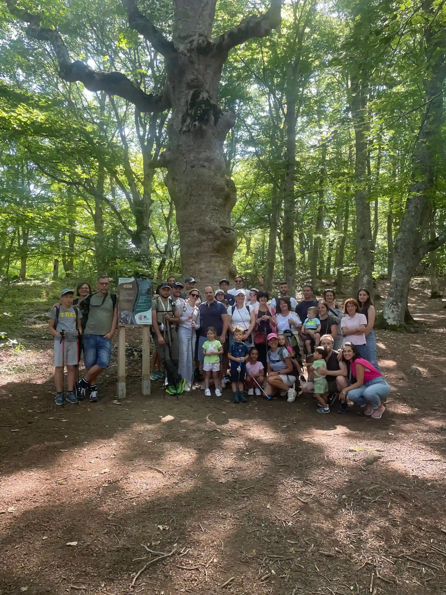 Bosco di Sant'Antonio di Pescocostanzo - escursione guidata di gruppo con maiella escursioni Guida Samuele Santilli