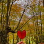 Foliage nel Bosco di Sant'Antonio in Abruzzo con guida